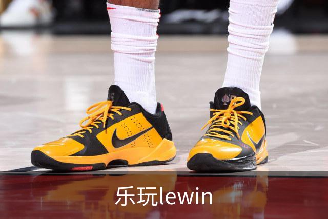 乐玩lewin公司形象图